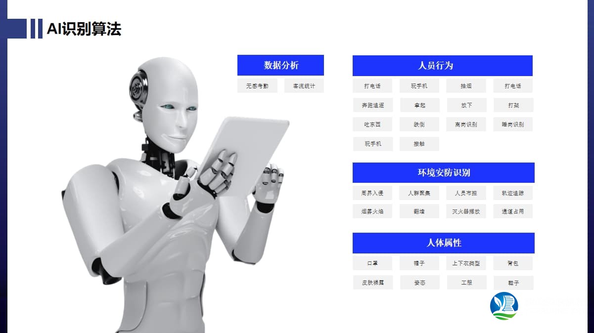 AI视频监控系统功能